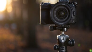 Photo of Nikon Z6 II: профессиональная камера?