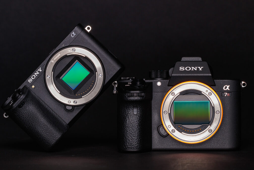 Фото 64 — Canon vs Sony: лучшие фотоаппараты