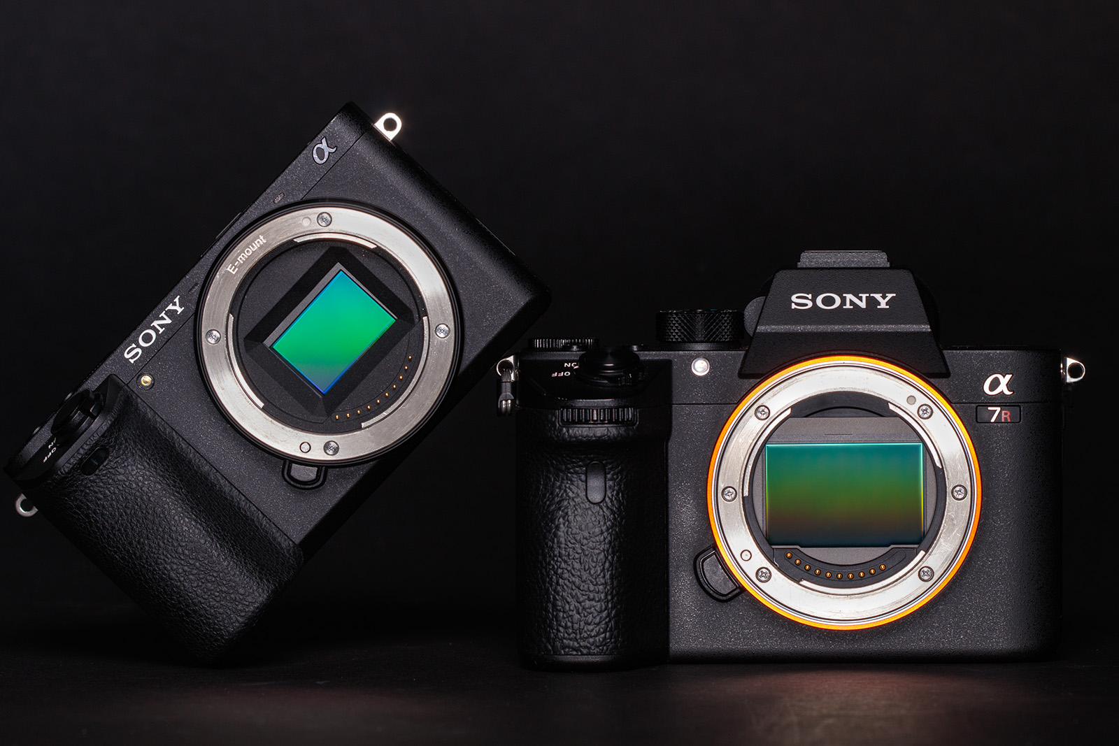 Фото 64 — Canon vs Sony: лучшие фотоаппараты