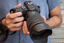 Photo of Canon EOS R6: оценка производительности