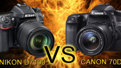 Photo of Nikon vs Canon: лучшие камеры